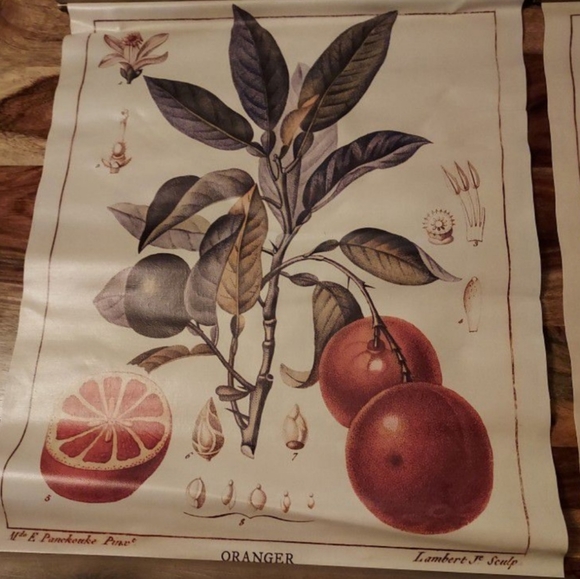 Vintage Scroll Wallpaper Tapestries of Oranges & Lemons - Picture 2 of 3